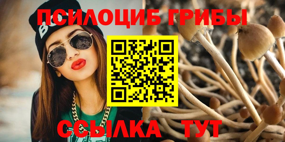 Псилоцибиновые грибы Magic Shrooms Дзержинский