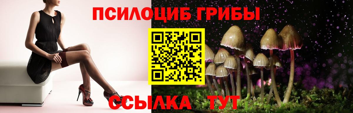 Галлюциногенные грибы GOLDEN TEACHER  Вход с VPN  Дзержинский 